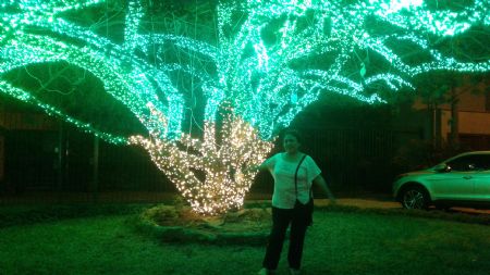 Marysol - ID: 115798