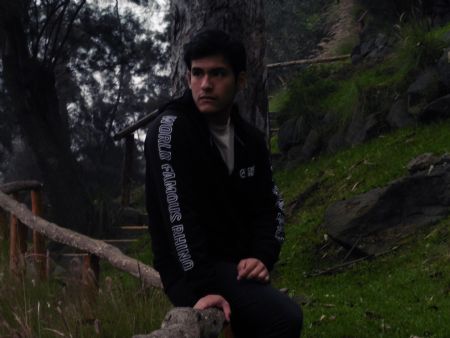 luis fernando - ID: 144061 - 440384