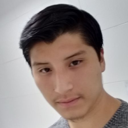 Giner - ID: 239466 - 525281