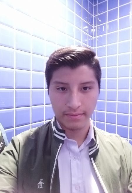 Giner - ID: 239466 - 525283
