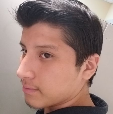 Giner - ID: 239466 - 525284