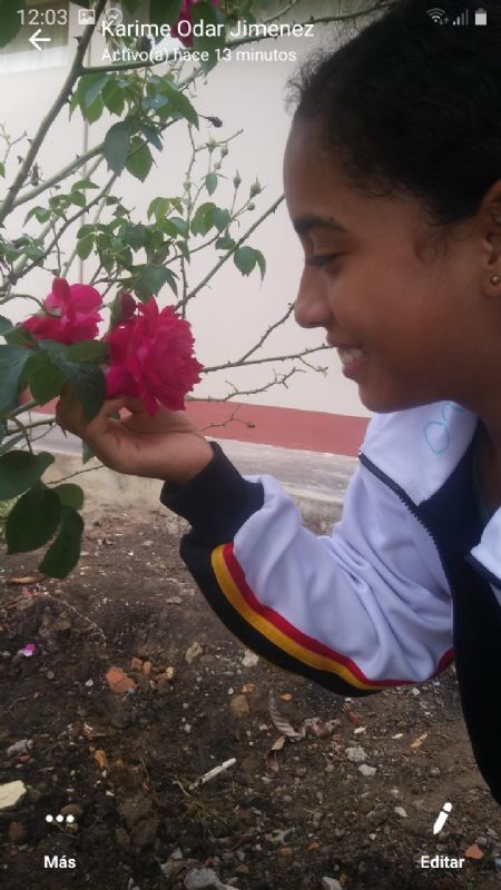 Karime Morayma - ID: 267993 - 556363